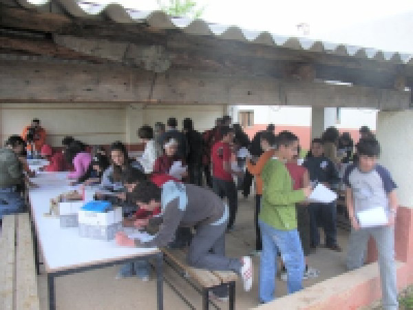 Grupo de alumnos de secundaria en una dinámica