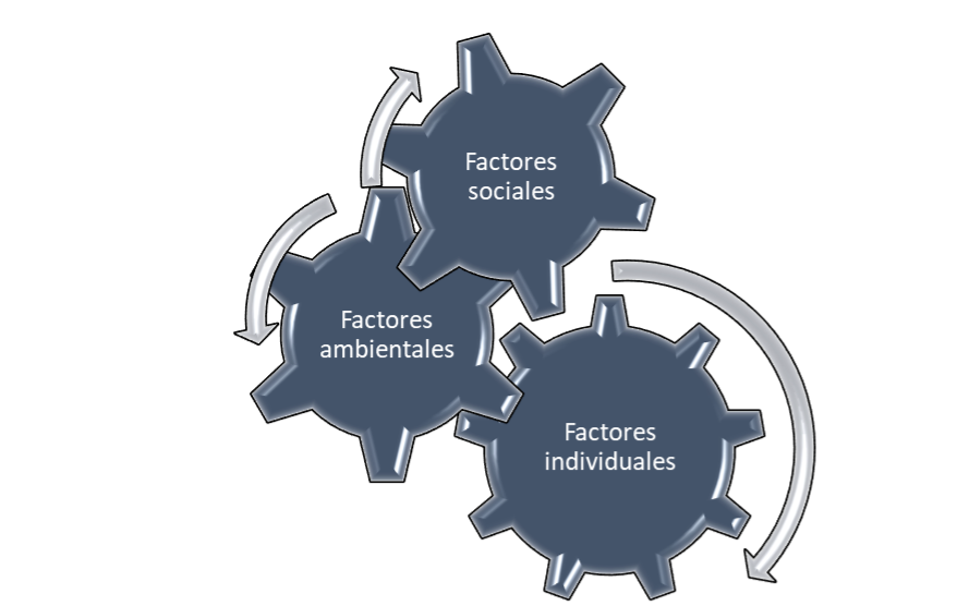 Factores que determinan las reacciones