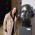 Museo 