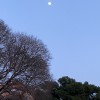 La luna sobre Zaragoza