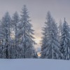 Paisaje de invierno