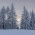 Paisaje de invierno